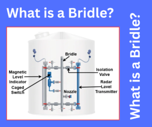 What is a Bridle? explained